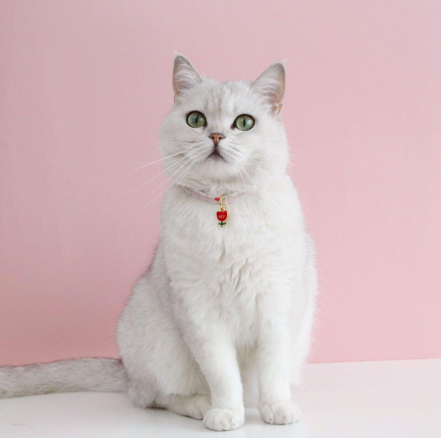 Pet Tulip Pendant Bell Adjustable Collar - {{product.type}} - PawPawUp