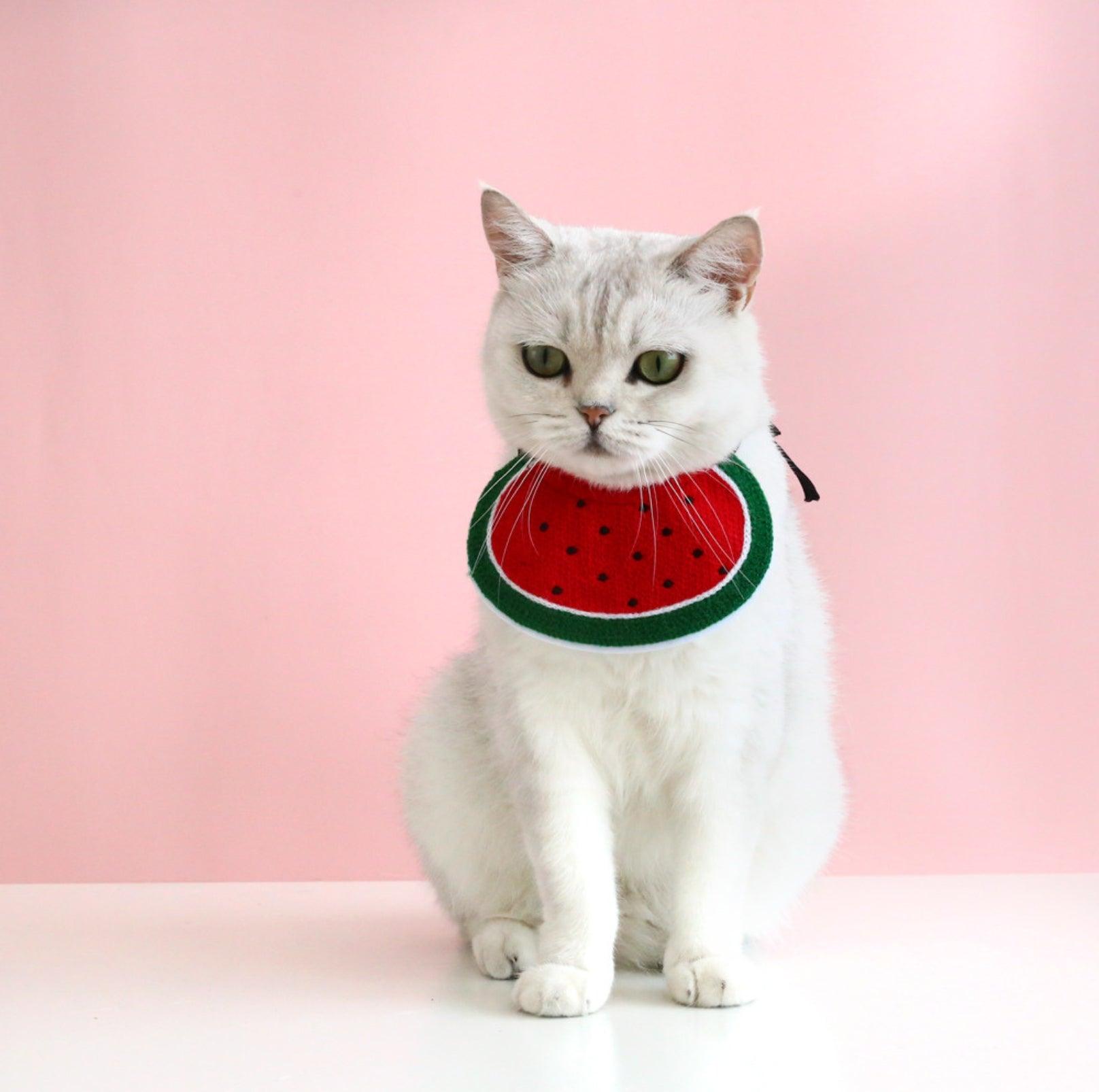 Plush Cartoon Design Pet Bib for Cats & Small Dogs - {{product.type}} - PawPawUp