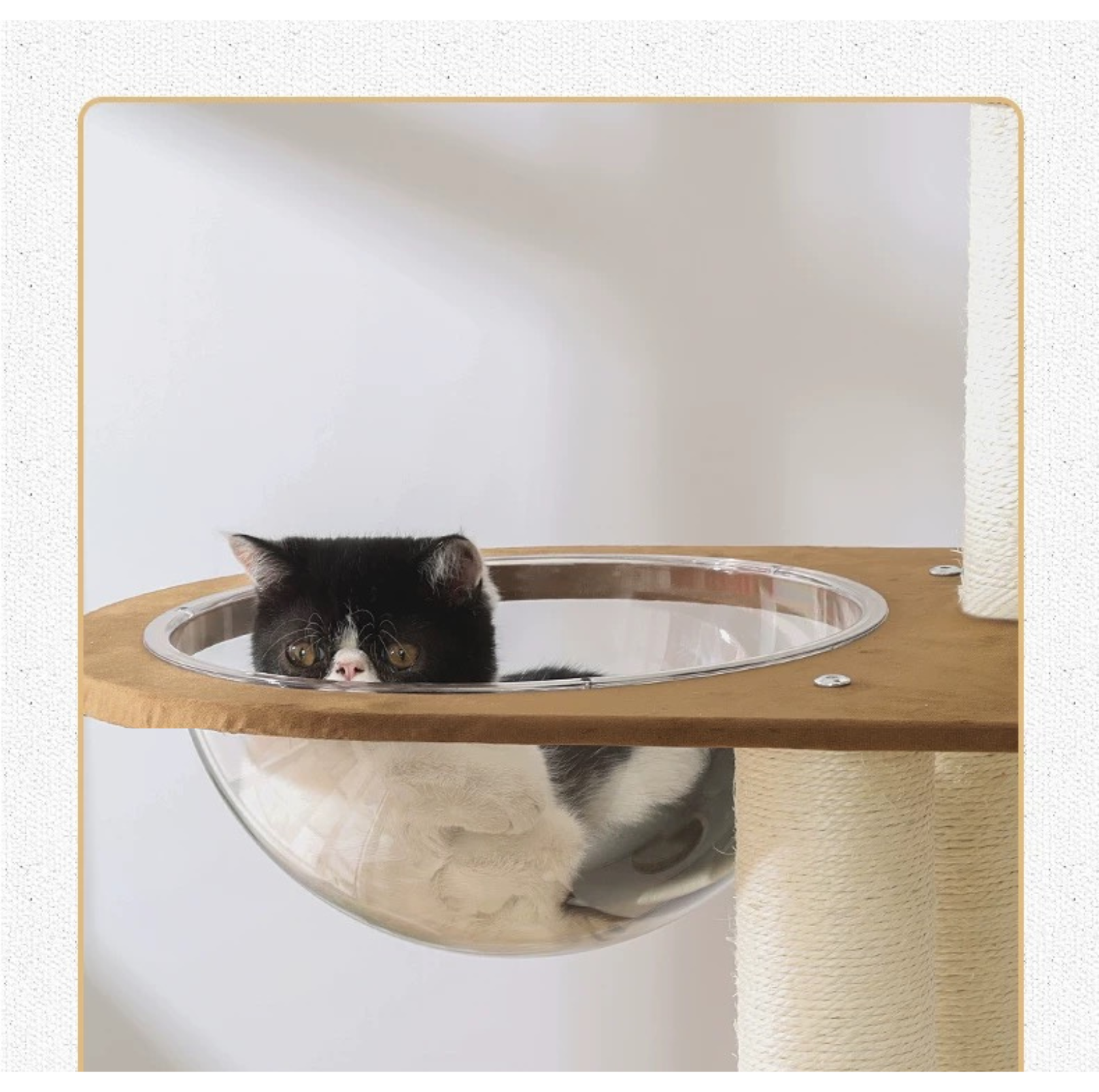 Premium Solid Oak Wood Cat Tree with Woven Rattan Beds(81005S)-Height 175cm - {{product.type}} - PawPawUp
