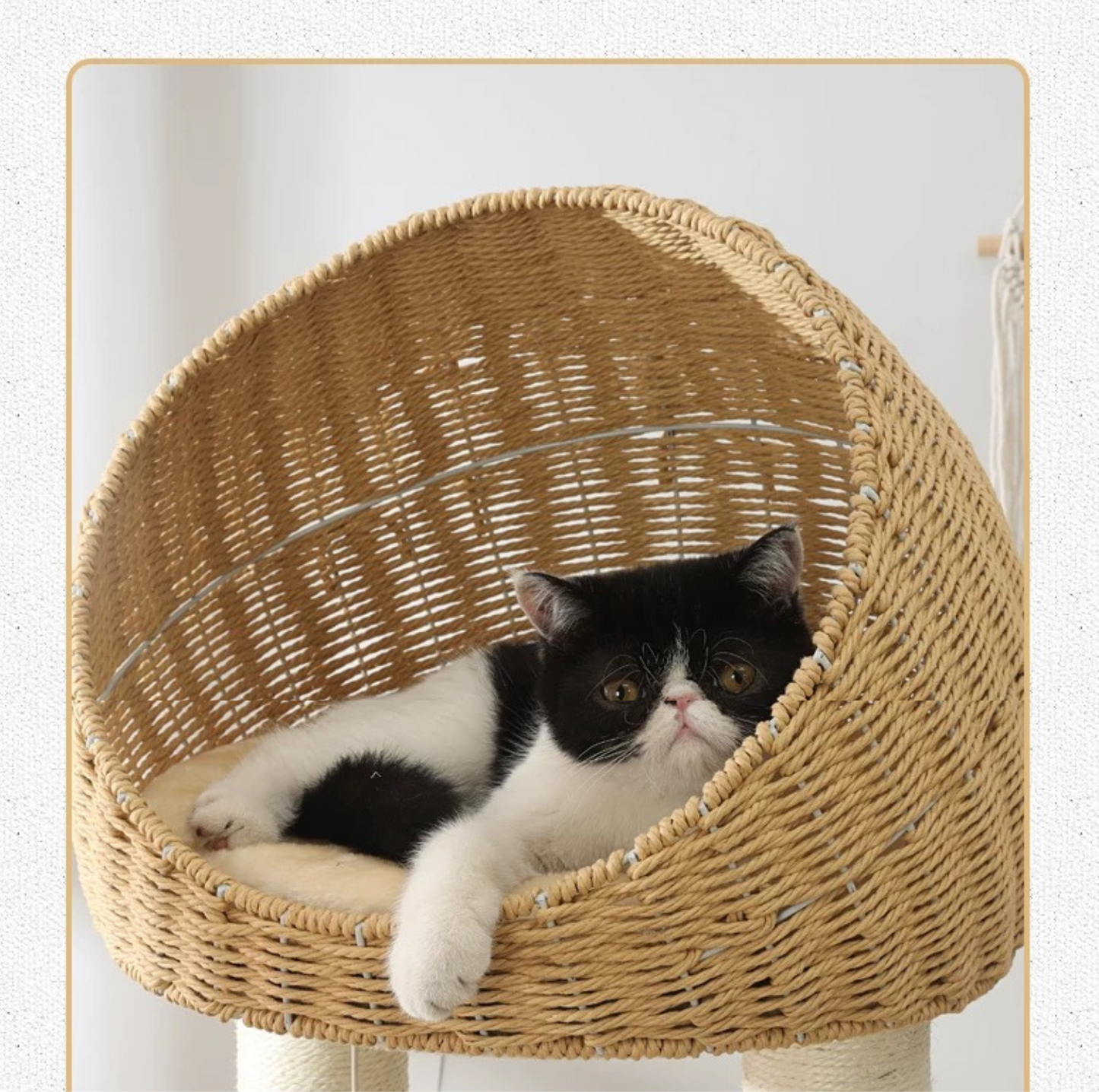 Premium Solid Oak Wood Cat Tree with Woven Rattan Beds(81005S)-Height 175cm - {{product.type}} - PawPawUp