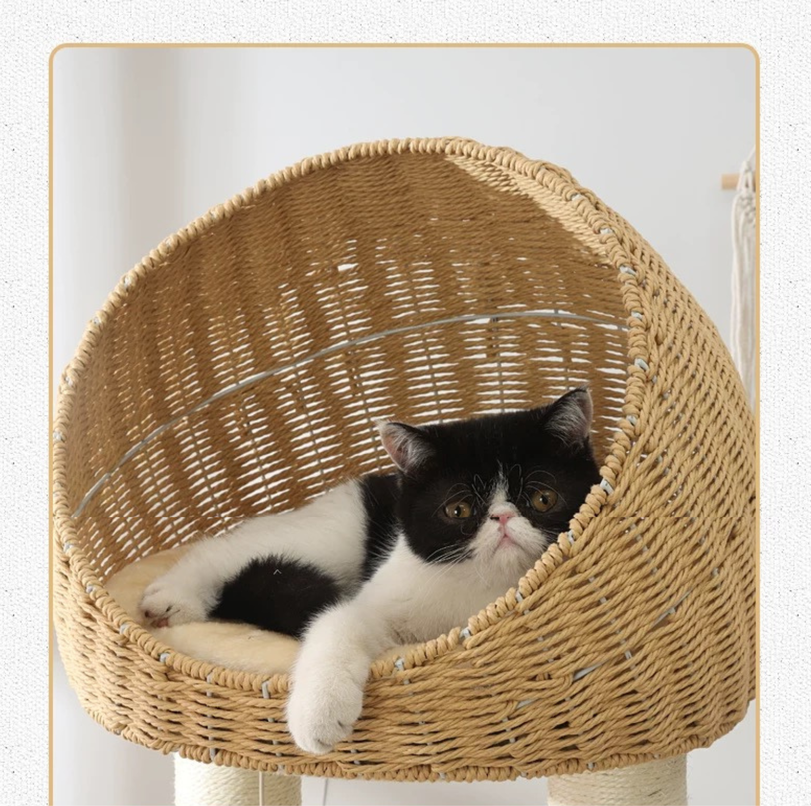 Premium Solid Oak Wood Cat Tree with Woven Rattan Beds(81005S)-Height 175cm - {{product.type}} - PawPawUp