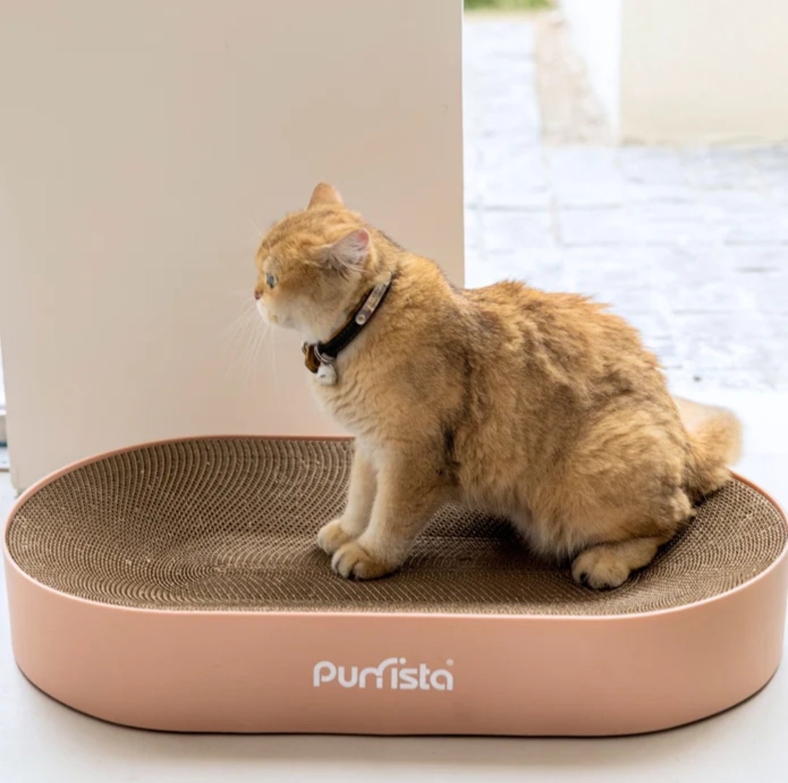 Purrista Extra Large Oval Cat Scratcher - {{product.type}} - PawPawUp