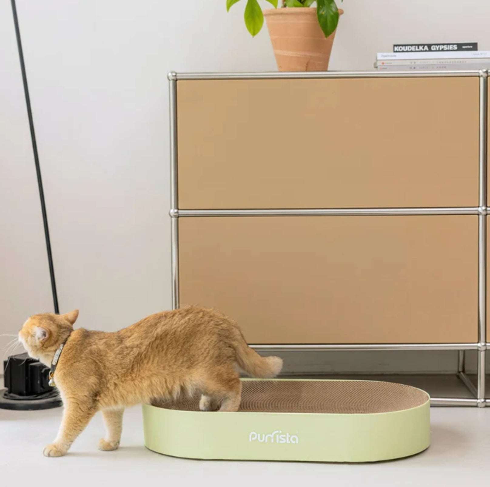 Purrista Extra Large Oval Cat Scratcher - {{product.type}} - PawPawUp