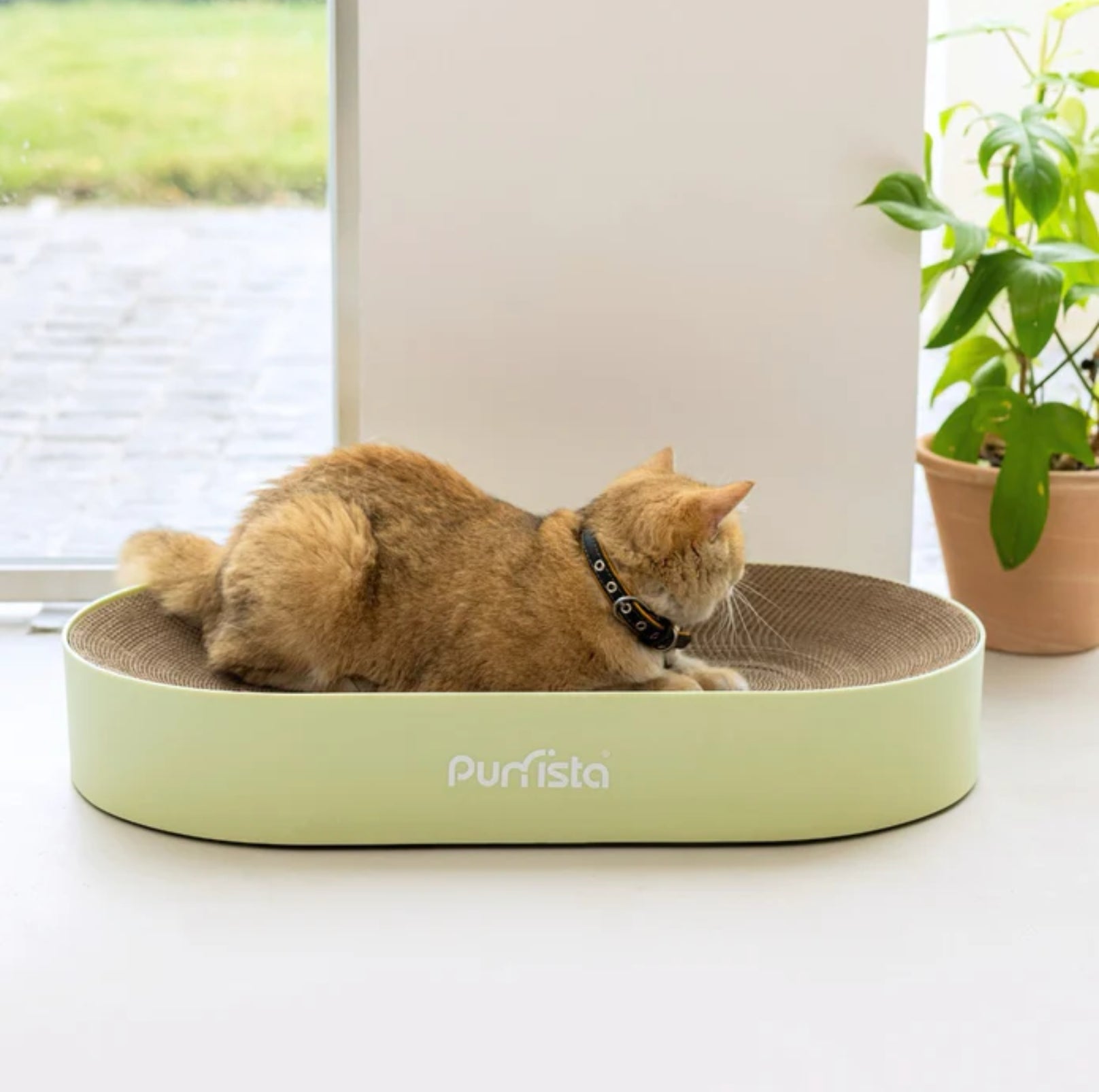 Purrista Extra Large Oval Cat Scratcher - {{product.type}} - PawPawUp