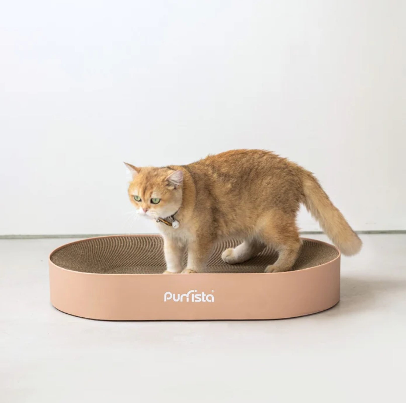 Purrista Extra Large Oval Cat Scratcher - {{product.type}} - PawPawUp