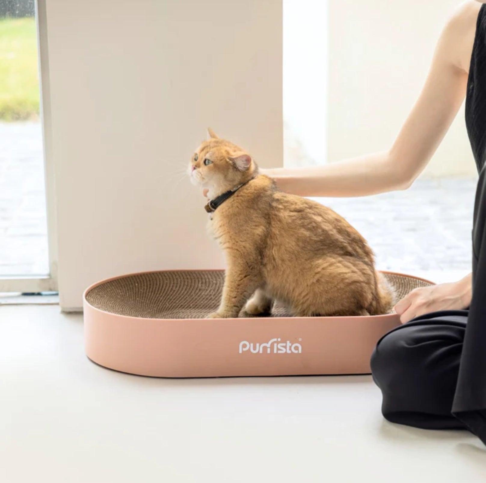 Purrista Extra Large Oval Cat Scratcher - {{product.type}} - PawPawUp