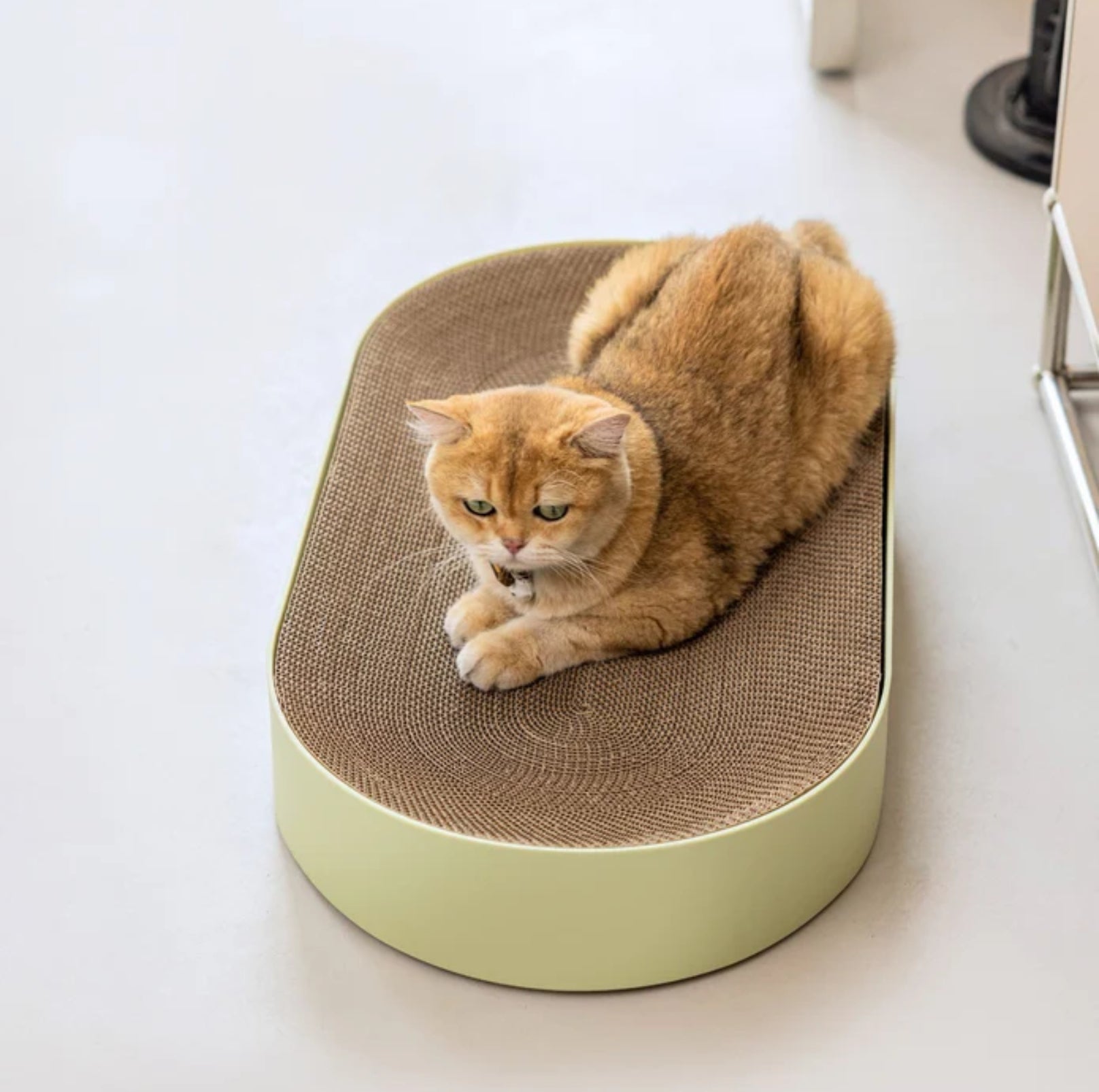Purrista Extra Large Oval Cat Scratcher - {{product.type}} - PawPawUp