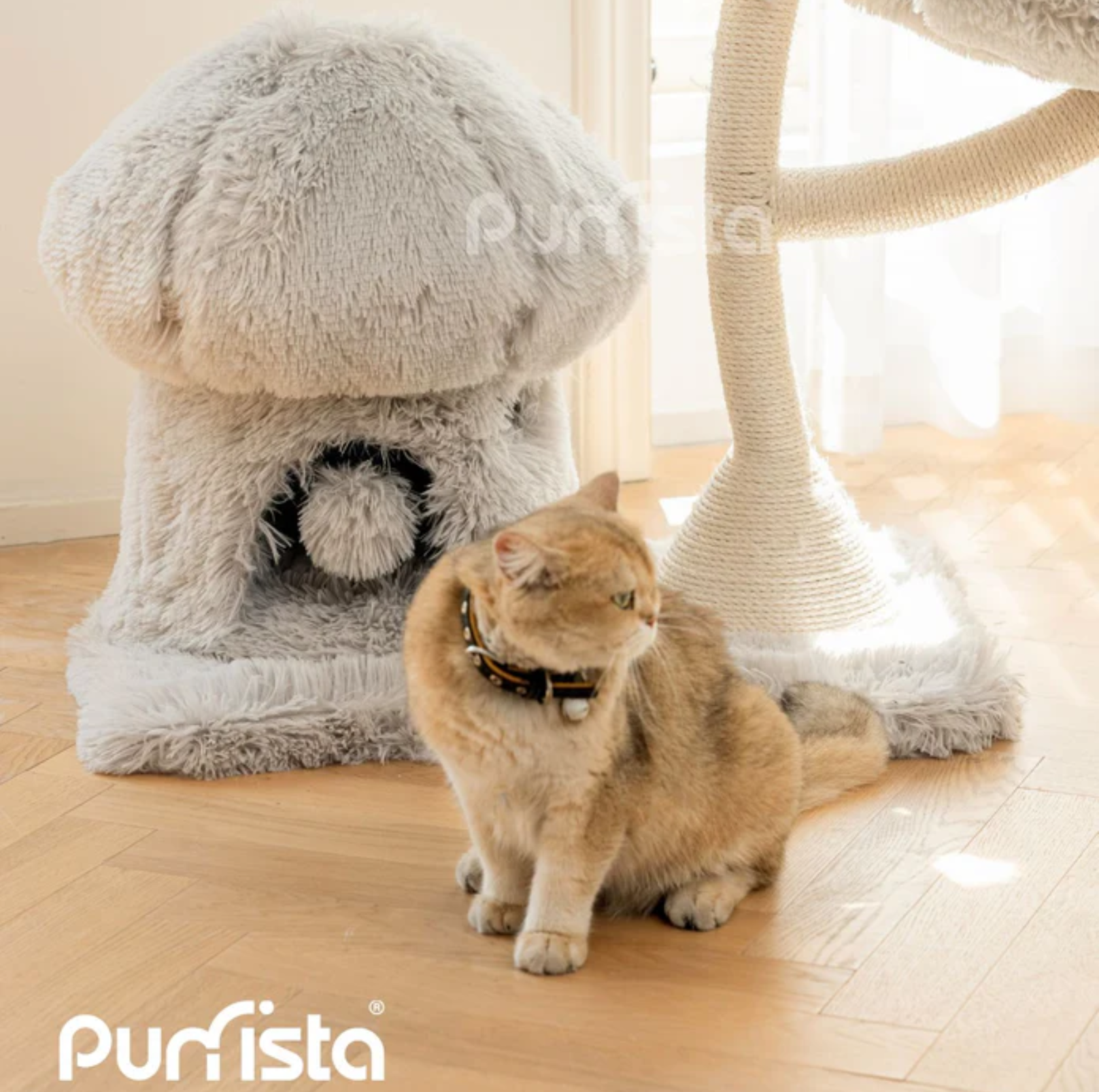 Purrista Mushroom Ice Cream 120cm Cat Tree (Three-Layer) - Grey - {{product.type}} - PawPawUp