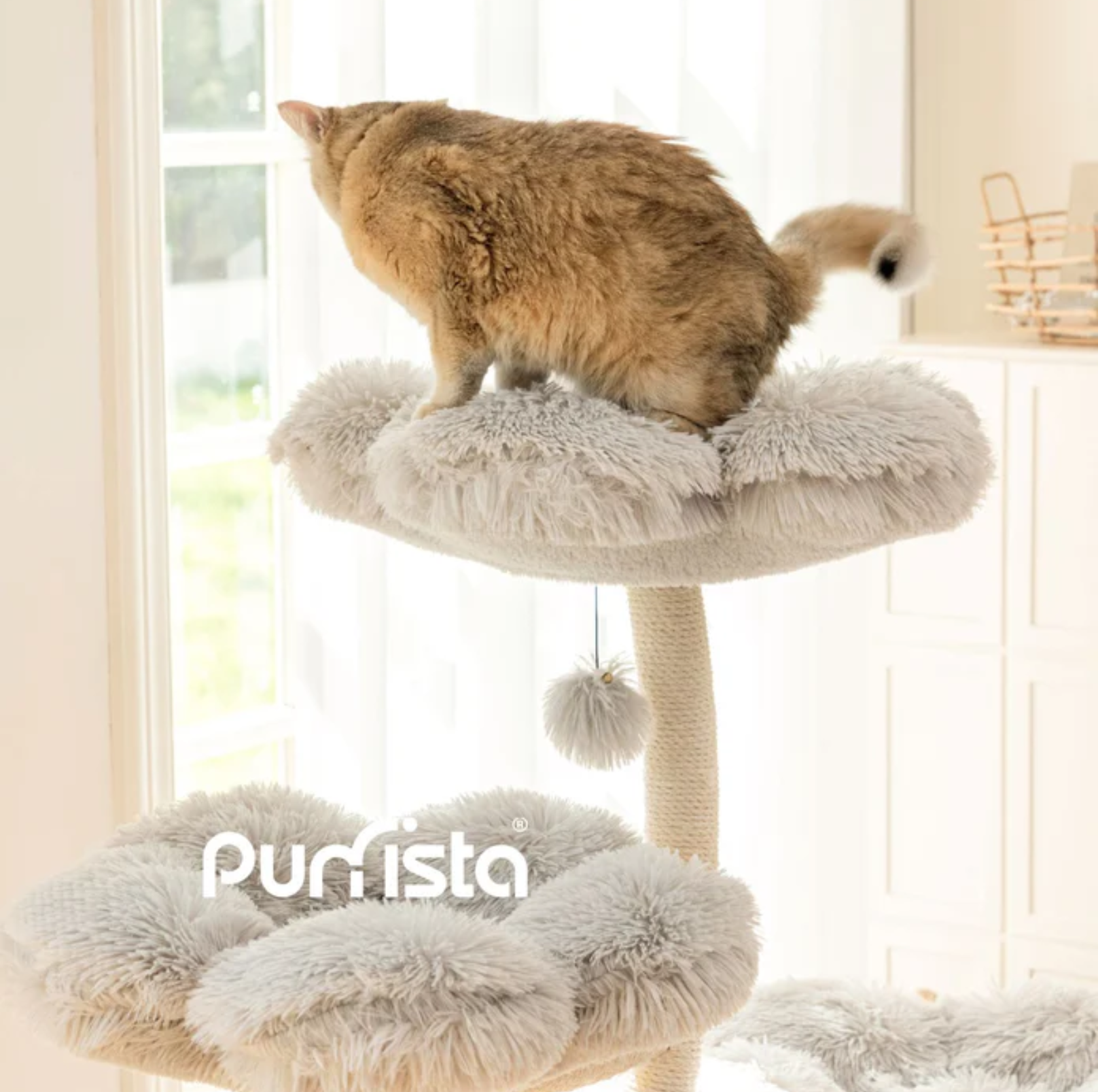 Purrista Mushroom Ice Cream 120cm Cat Tree (Three-Layer) - Grey - {{product.type}} - PawPawUp