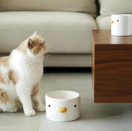 PURROOM Little Chicken Flat Ceramic Cat Bowls and Dog Bowls - {{product.type}} - PawPawUp