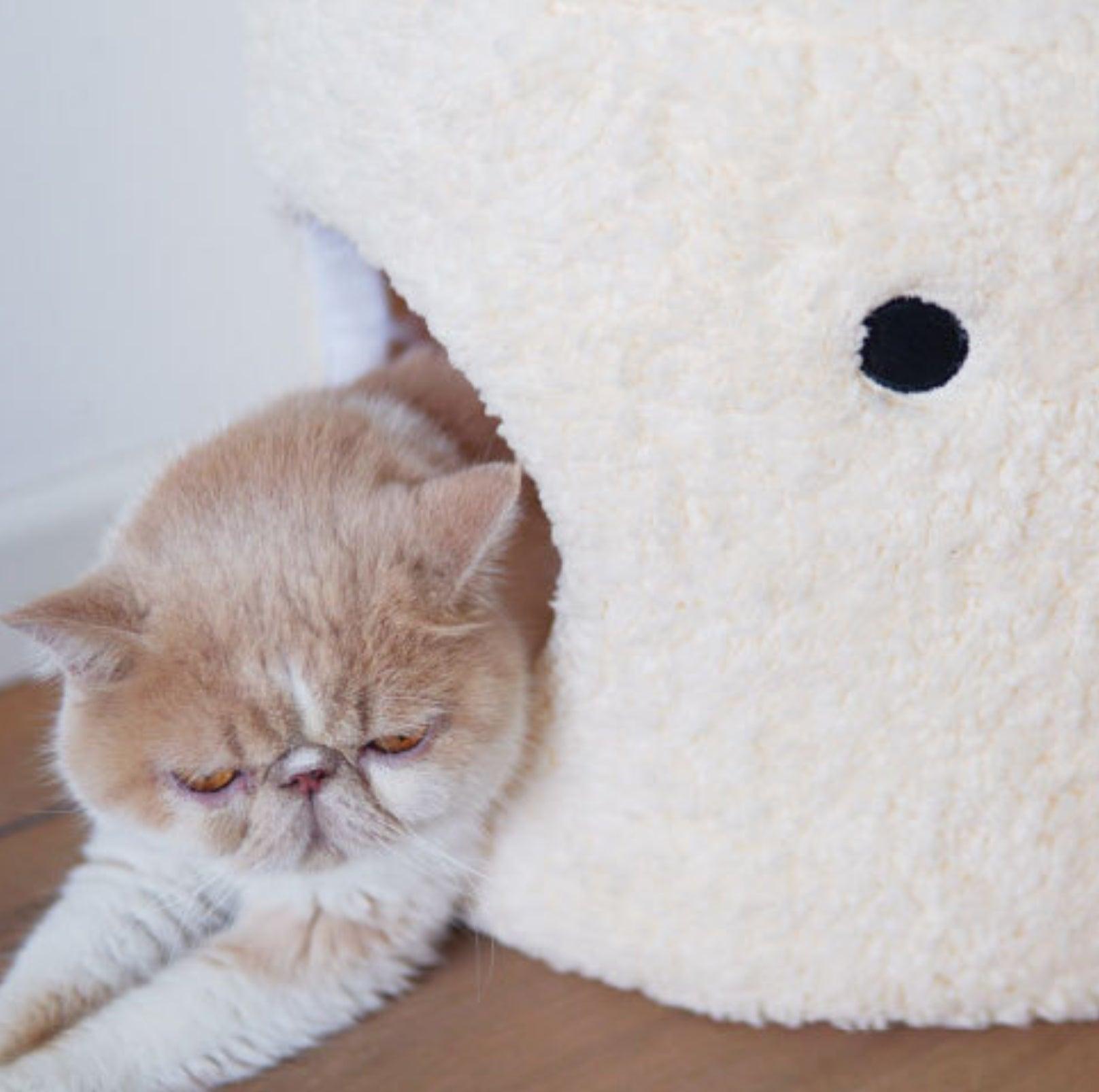 PURROOM Little Chicken Series- Enclosed Plush Pet Bed - {{product.type}} - PawPawUp