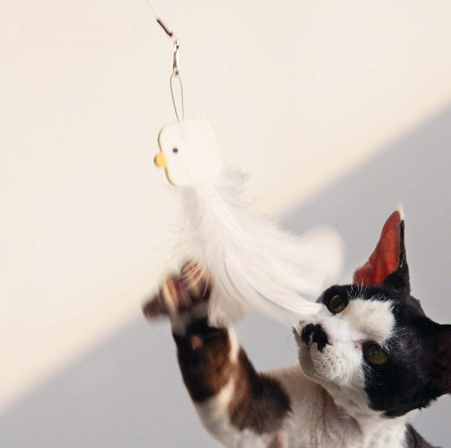 PURROOM Little Chicken Series: Extendable Feather Cat Stick Cat Toy - {{product.type}} - PawPawUp