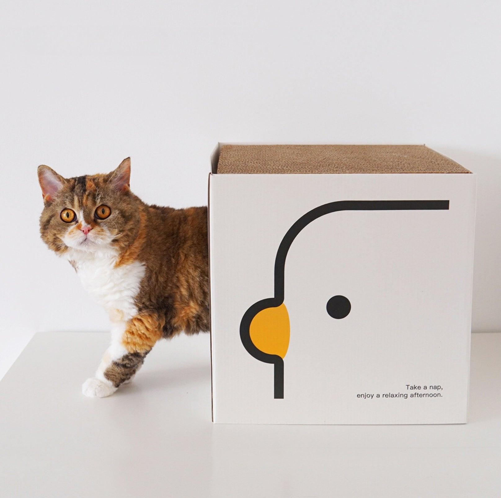 PURROOM Little Chicken Series: Square-Shaped Cat Scratcher House - {{product.type}} - PawPawUp
