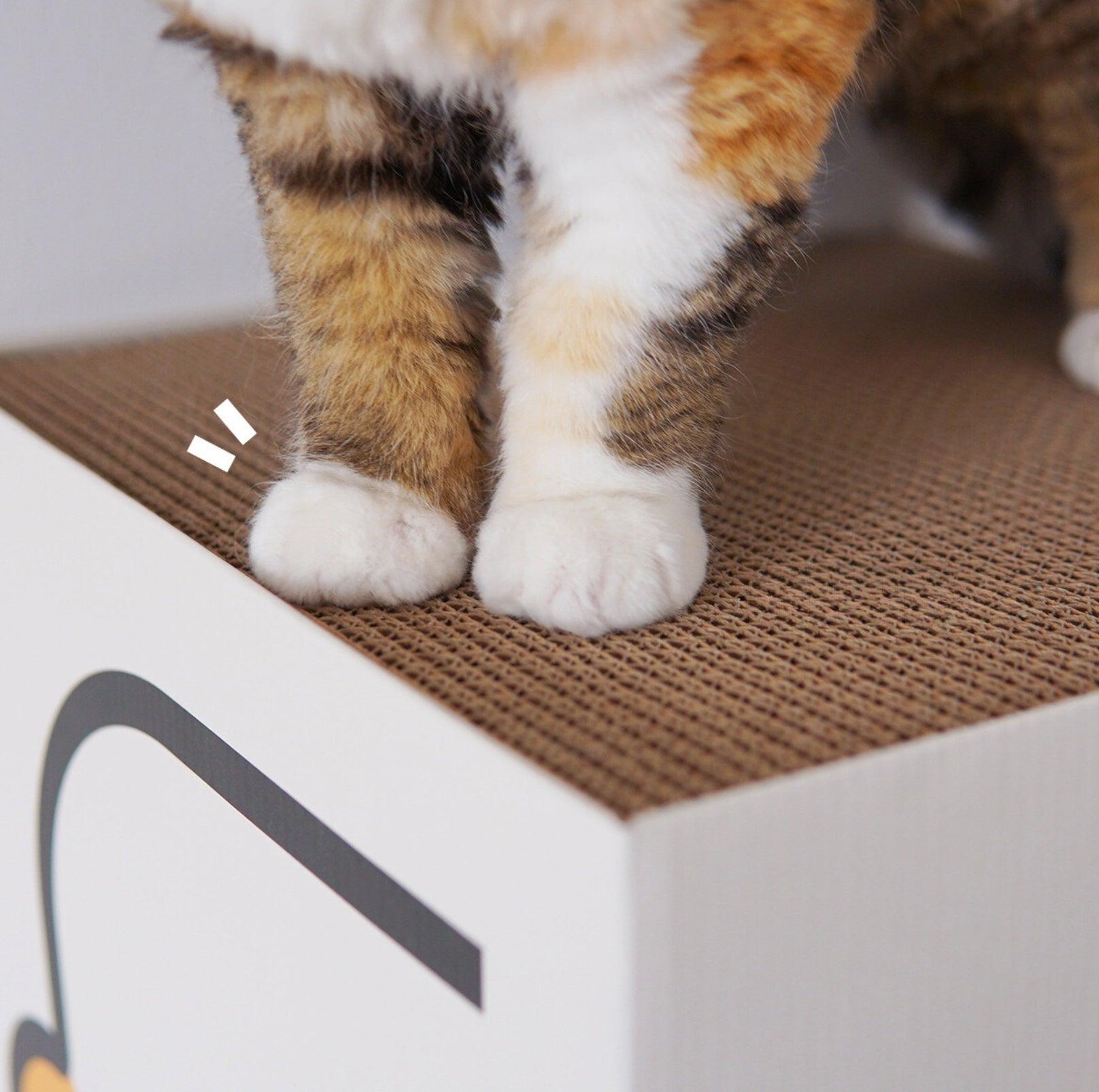 PURROOM Little Chicken Series: Square-Shaped Cat Scratcher House - {{product.type}} - PawPawUp