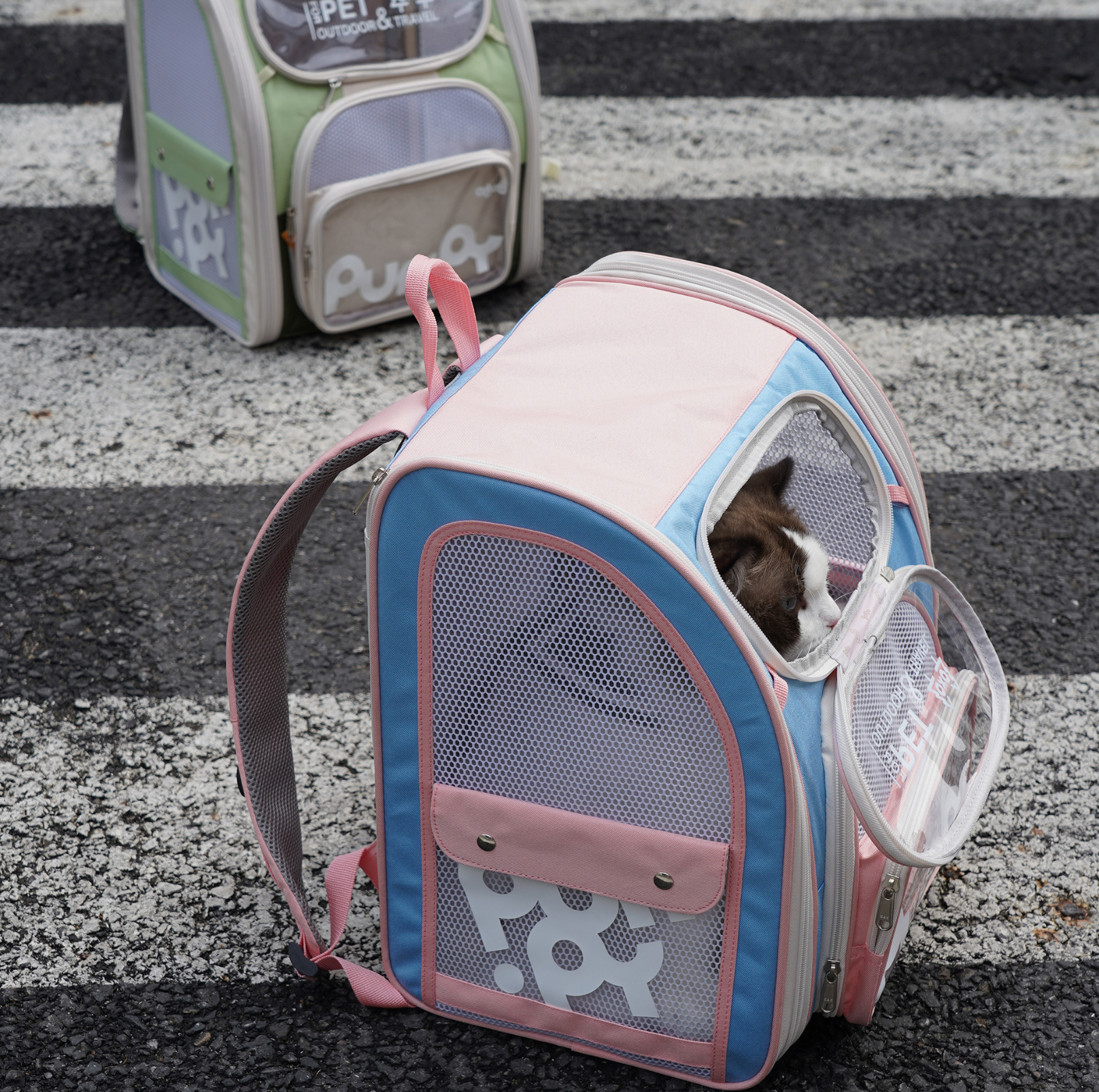 Purrpy "Candy Jelly" Pet Backpack Cat Carrier - {{product.type}} - PawPawUp