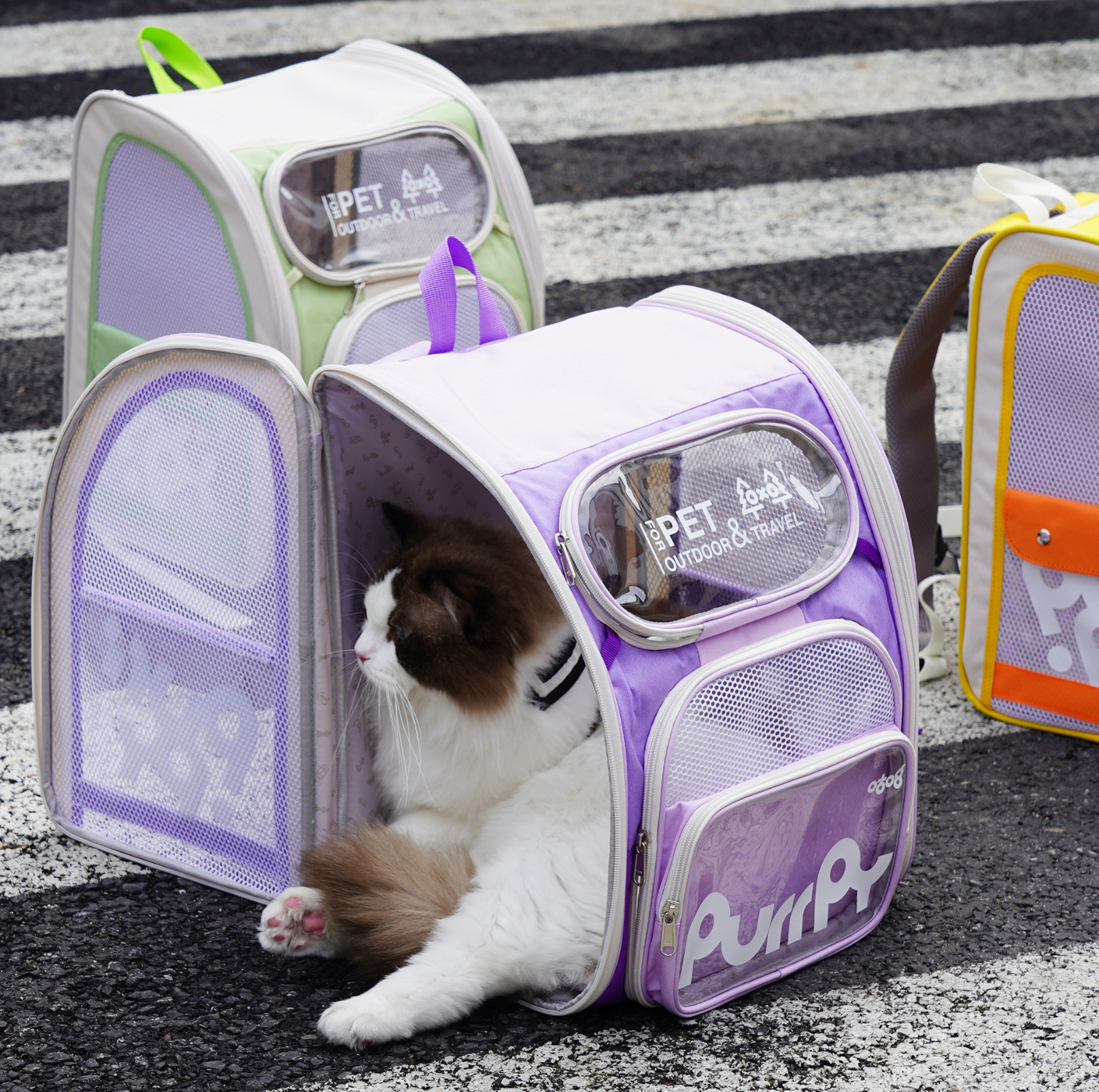 Purrpy "Candy Jelly" Pet Backpack Cat Carrier - {{product.type}} - PawPawUp