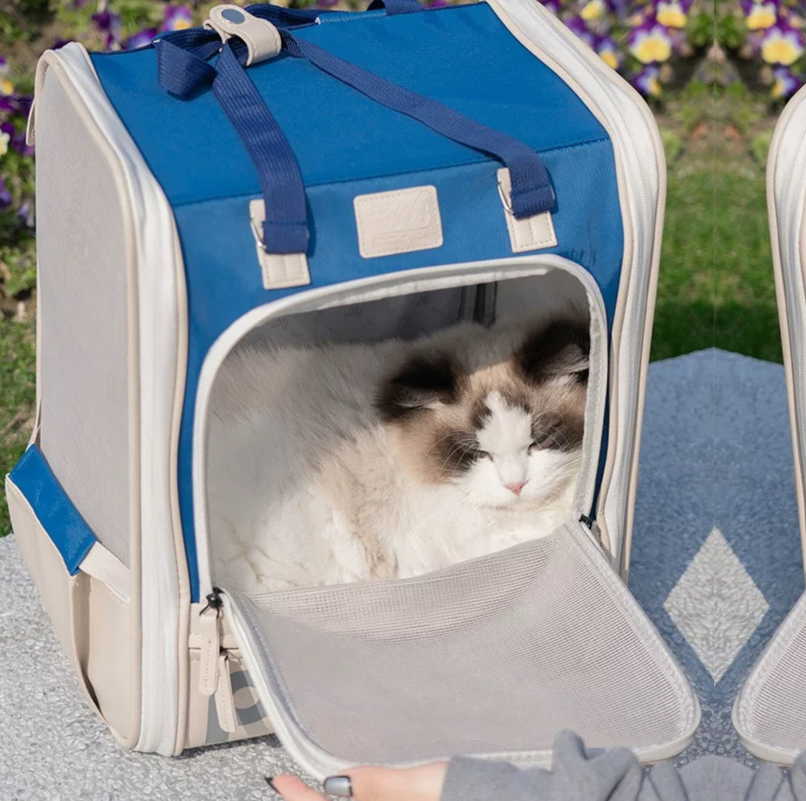 Purrpy Elegant Pet Backpack Cat Carrier - {{product.type}} - PawPawUp
