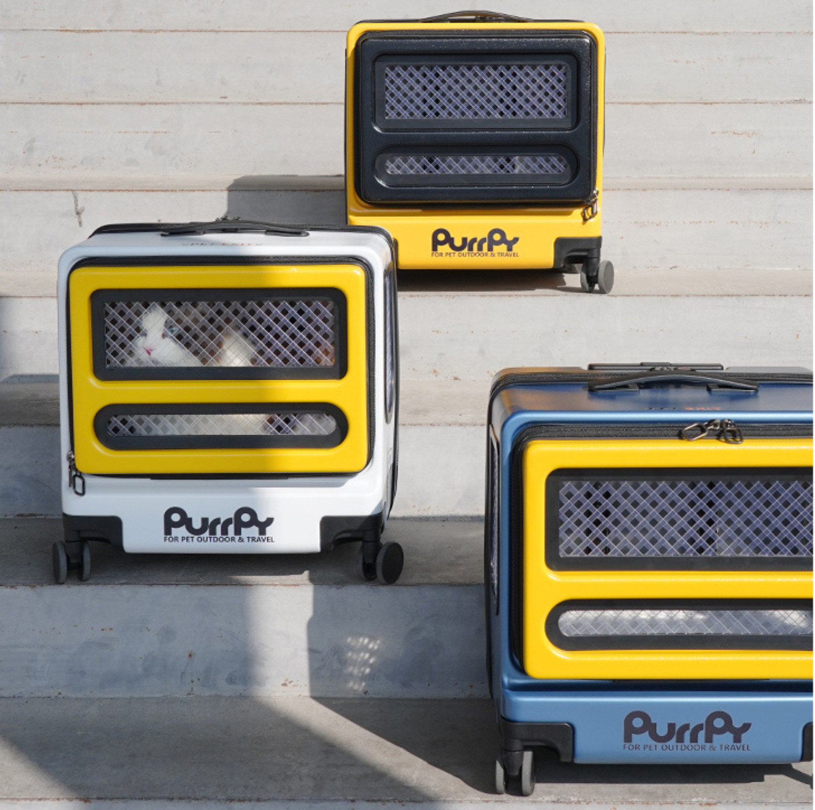 Purrpy "Sugar Cube" Luggage Pet Carrier Cat Carrier - {{product.type}} - PawPawUp