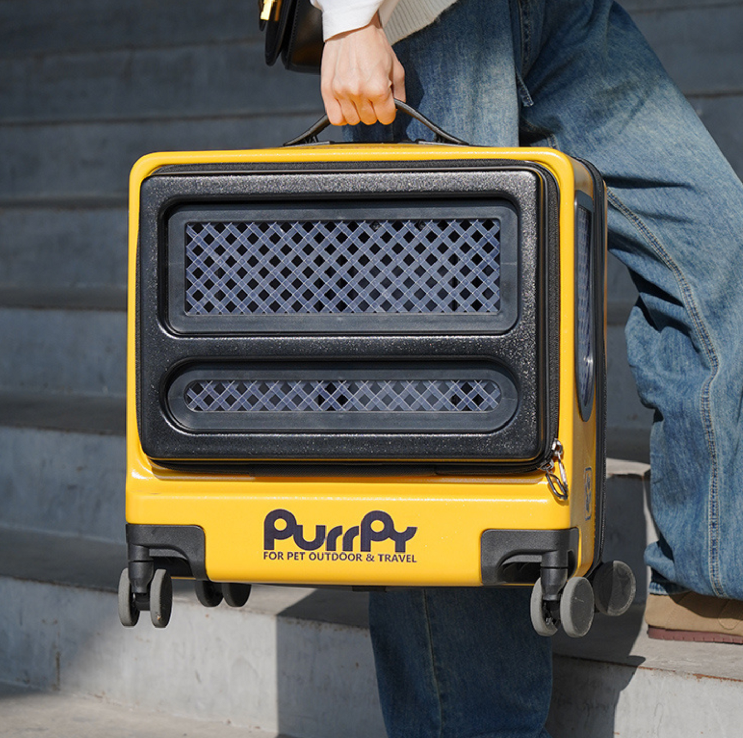 Purrpy "Sugar Cube" Luggage Pet Carrier Cat Carrier - {{product.type}} - PawPawUp