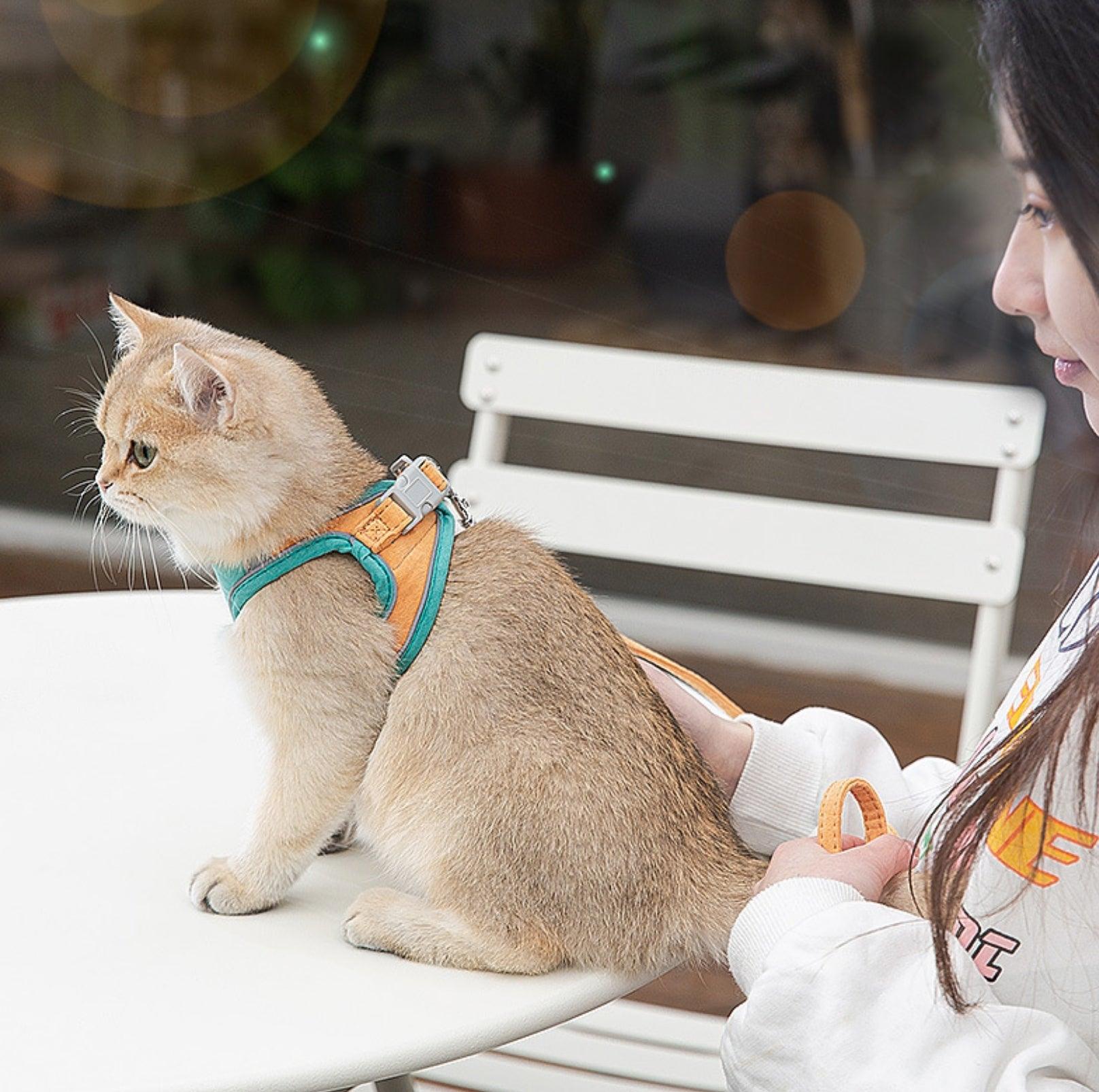 Reflective Pet Vest Harness with Anti-Escape Design - {{product.type}} - PawPawUp