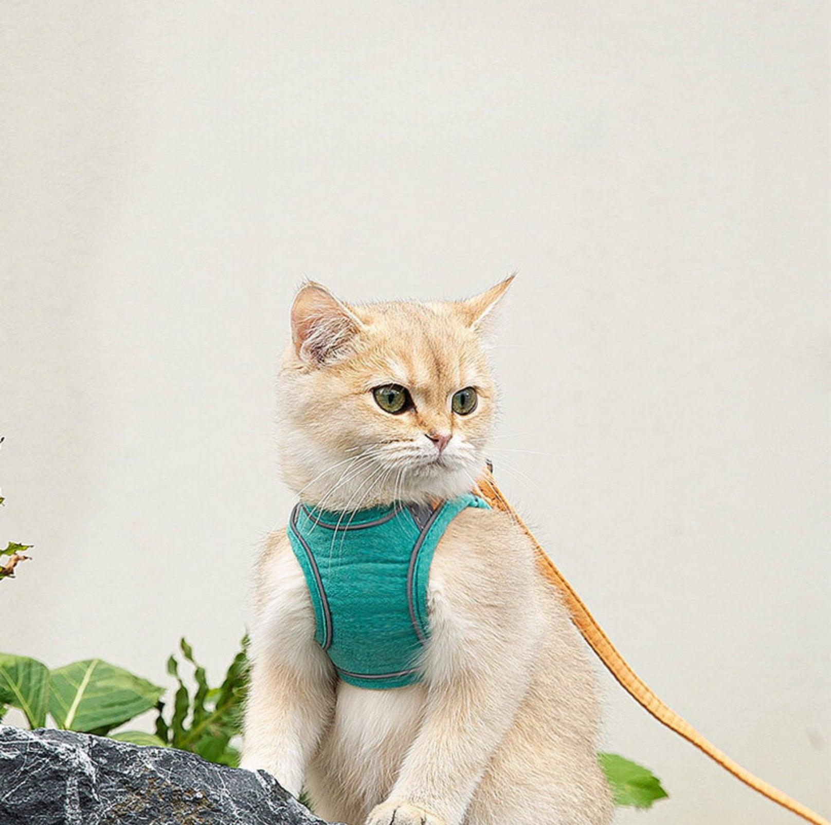 Reflective Pet Vest Harness with Anti-Escape Design - {{product.type}} - PawPawUp