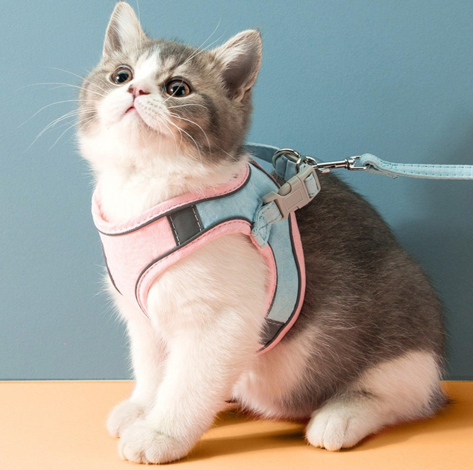 Reflective Pet Vest Harness with Anti-Escape Design - {{product.type}} - PawPawUp