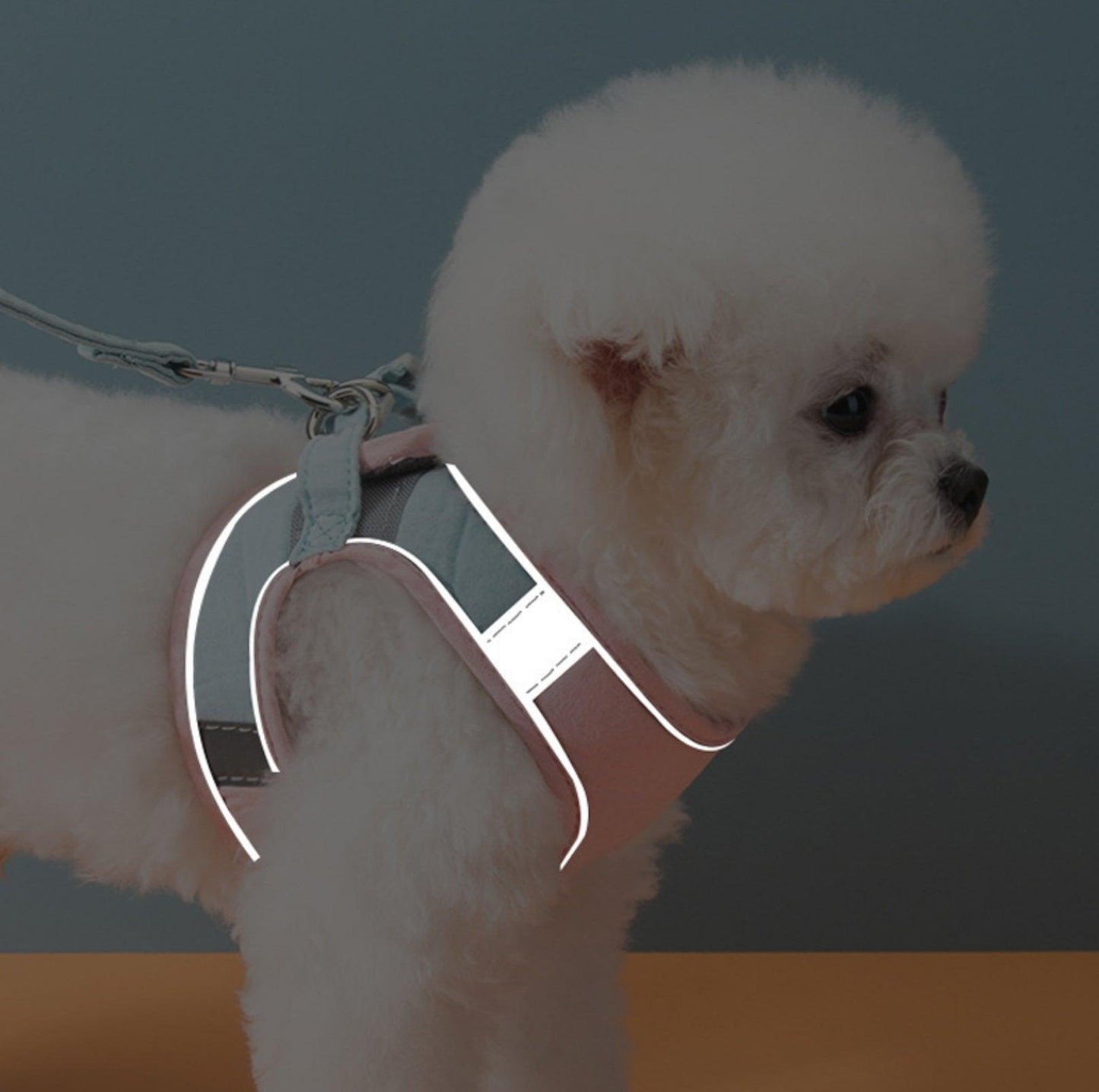 Reflective Pet Vest Harness with Anti-Escape Design - {{product.type}} - PawPawUp