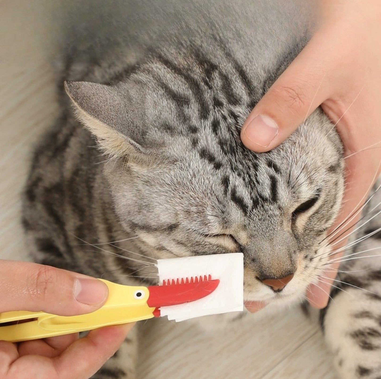 Silicone Pet Eye Cleaning Brush with Clip – Gentle & Hygienic for Cats and Dogs - {{product.type}} - PawPawUp