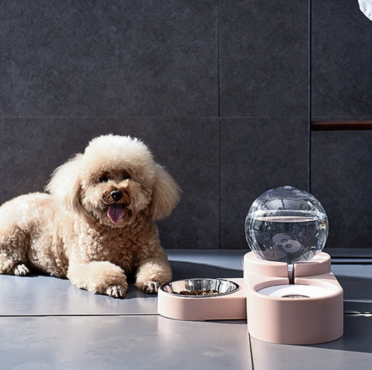 Spherical Double Cat and Small Dog Bowl With Automatic Water Refill - {{product.type}} - PawPawUp