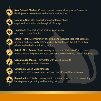 Talentail Ultimate New Zealand Chicken Dry Cat Food - {{product.type}} - PawPawUp