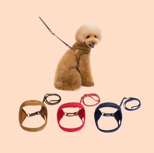 V-Shaped Dog Vest Harness with Leash - {{product.type}} - PawPawUp
