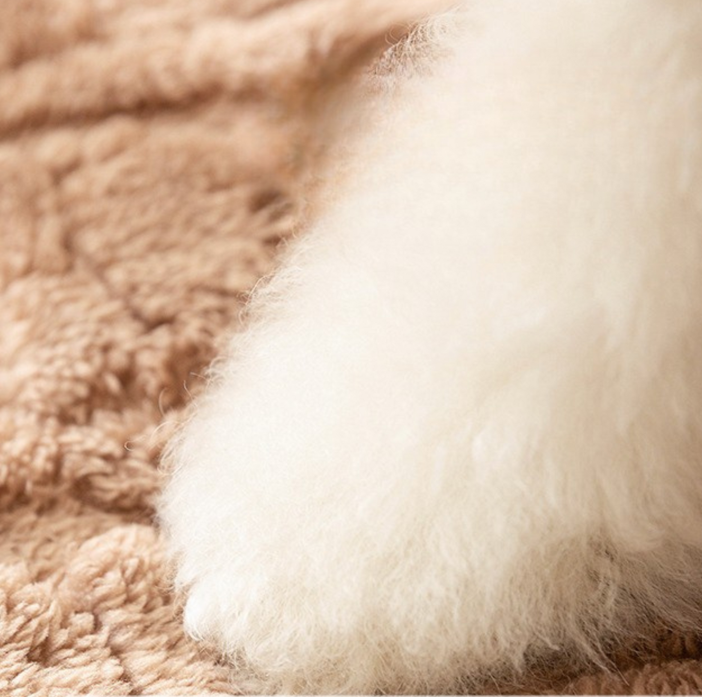 Winter Warm Sofa Pet Bed –Washable Cover and Soft Cushion - {{product.type}} - PawPawUp