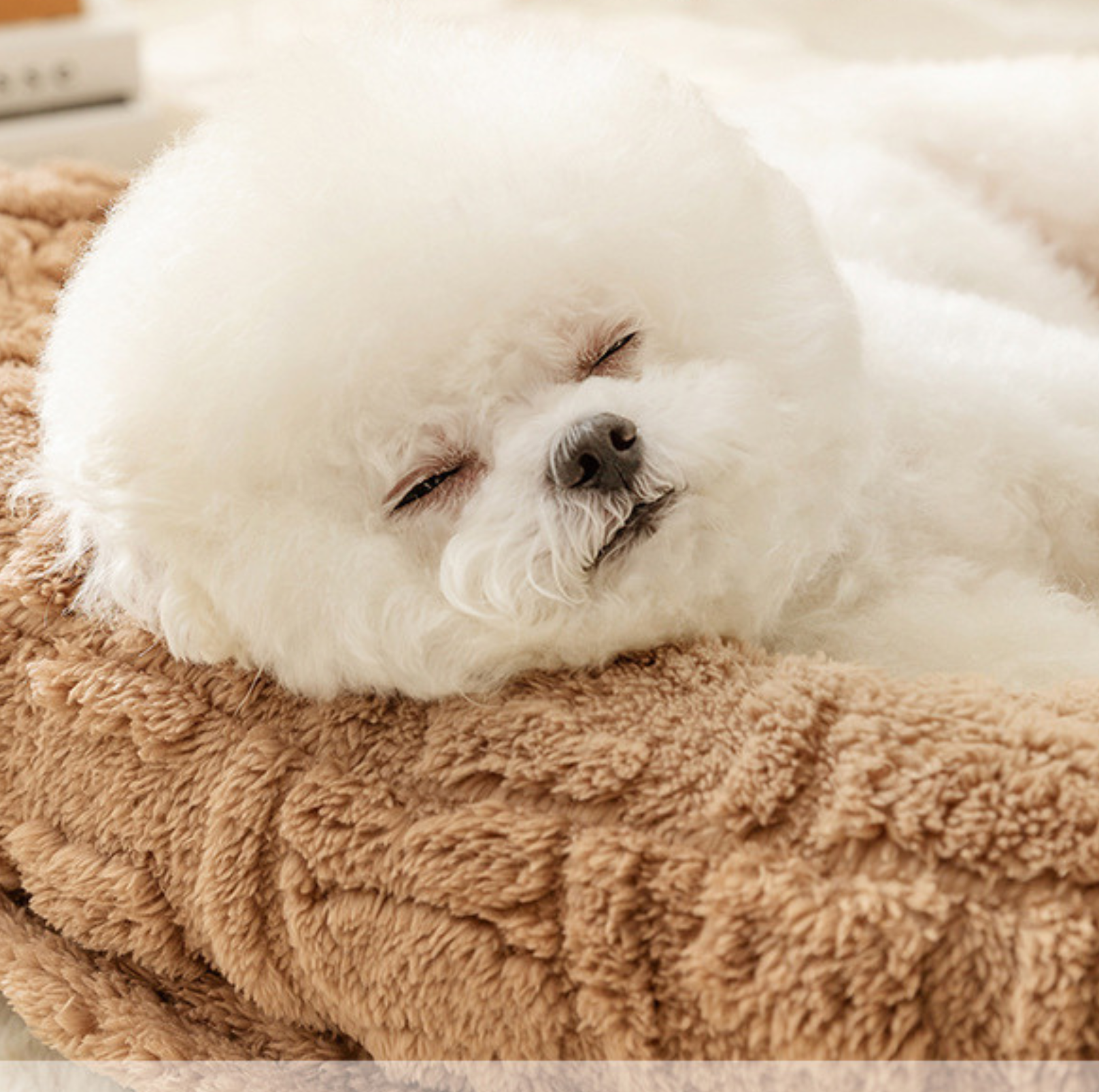 Winter Warm Sofa Pet Bed –Washable Cover and Soft Cushion - {{product.type}} - PawPawUp