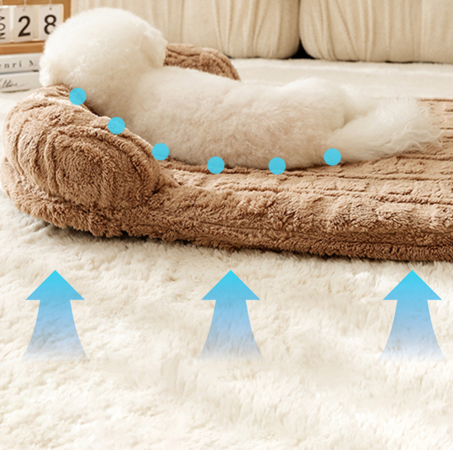 Winter Warm Sofa Pet Bed –Washable Cover and Soft Cushion - {{product.type}} - PawPawUp