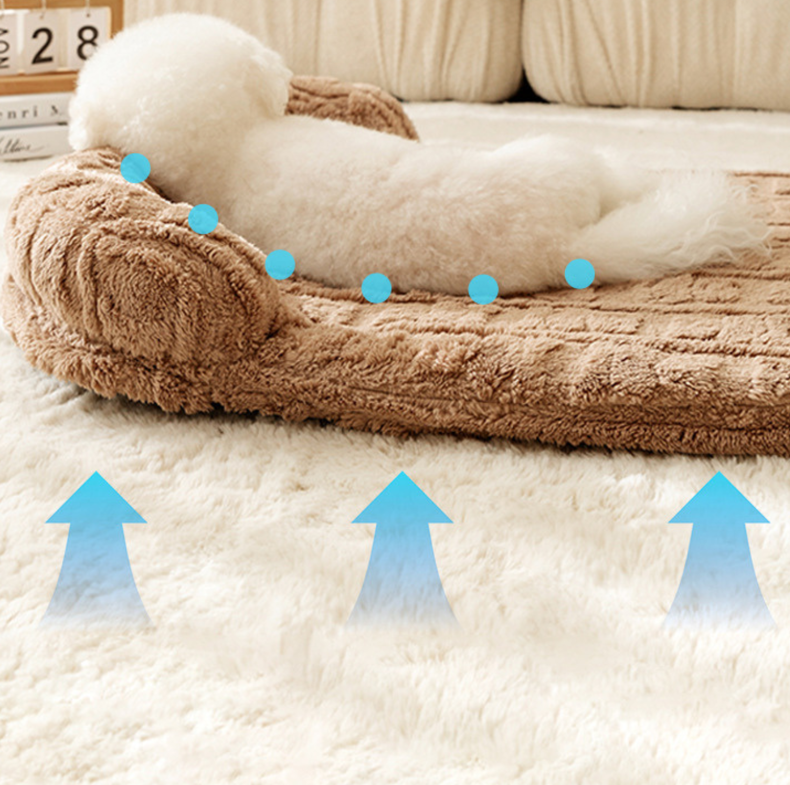 Winter Warm Sofa Pet Bed –Washable Cover and Soft Cushion - {{product.type}} - PawPawUp