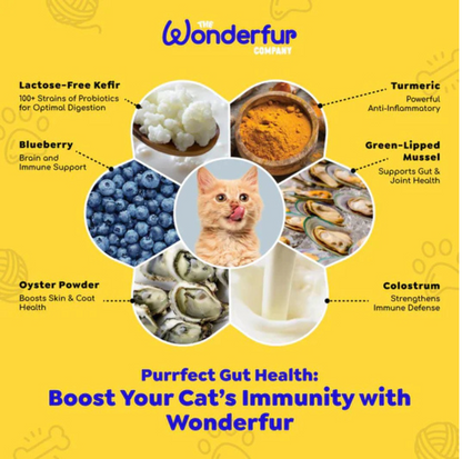 Wonderfur Bites Immune Booster for Cats- Freeze Dried Functional Yogurt Bites - {{product.type}} - PawPawUp