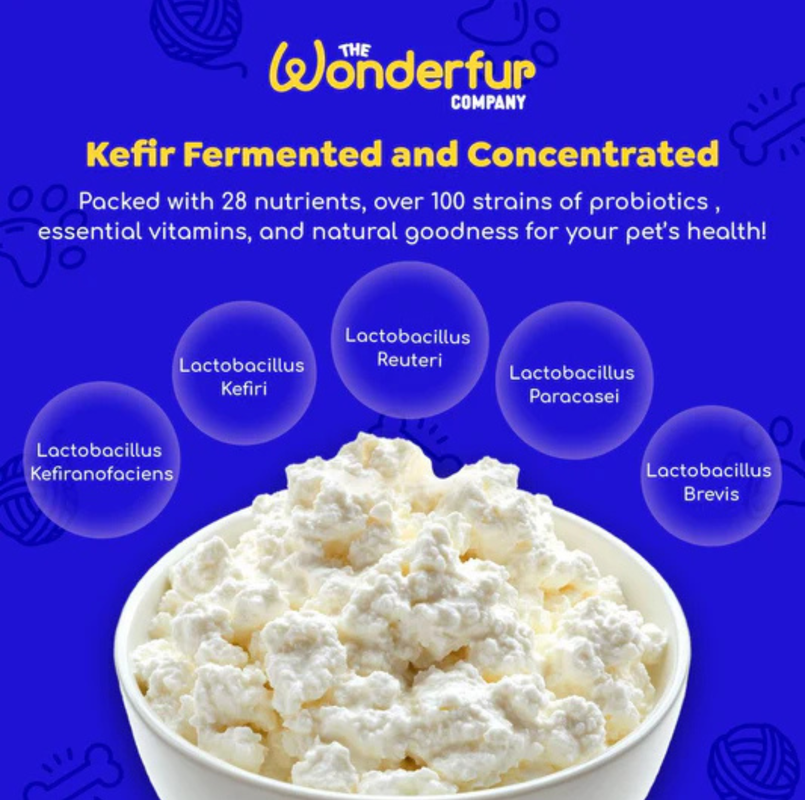 Wonderfur Bites Immune Booster for Dogs - Freeze-Dried Functional Yogurt Bites - {{product.type}} - PawPawUp