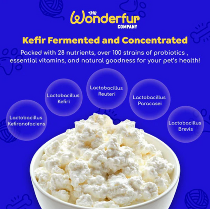 Wonderfur Bites Immune Booster for Dogs - Freeze-Dried Functional Yogurt Bites - {{product.type}} - PawPawUp