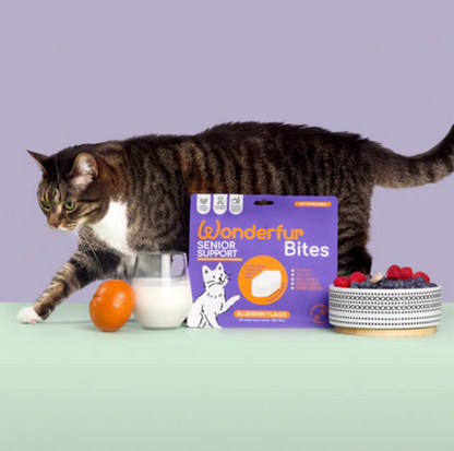 Wonderfur Bites Senior Support for Cats - Freeze-Dried Functional Yogurt Bites - {{product.type}} - PawPawUp