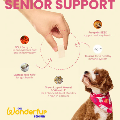 Wonderfur Bites Senior Support for Dogs - Freeze-Dried Functional Yogurt Bites - {{product.type}} - PawPawUp