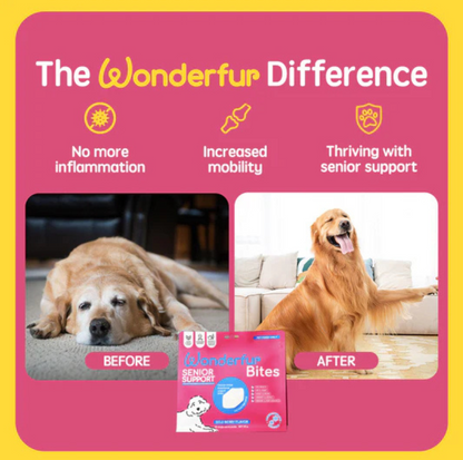 Wonderfur Bites Senior Support for Dogs - Freeze-Dried Functional Yogurt Bites - {{product.type}} - PawPawUp