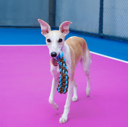 ZeZe Durable Rope Chew Toy for Dogs With Flet Ball - {{product.type}} - PawPawUp