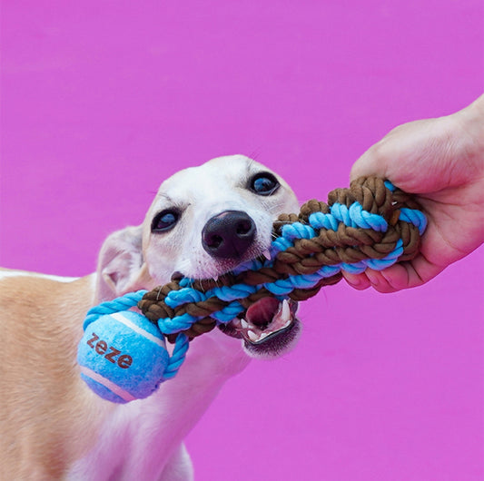 ZeZe Durable Rope Chew Toy for Dogs With Flet Ball - {{product.type}} - PawPawUp