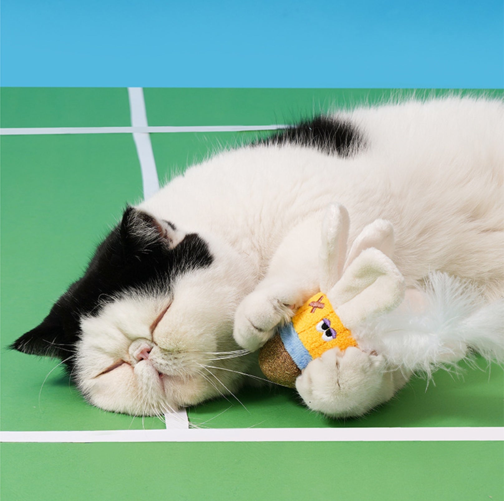 ZeZe Feather Shuttlecock Cat Toy – Plush Catnip Crinkle Toy - {{product.type}} - PawPawUp