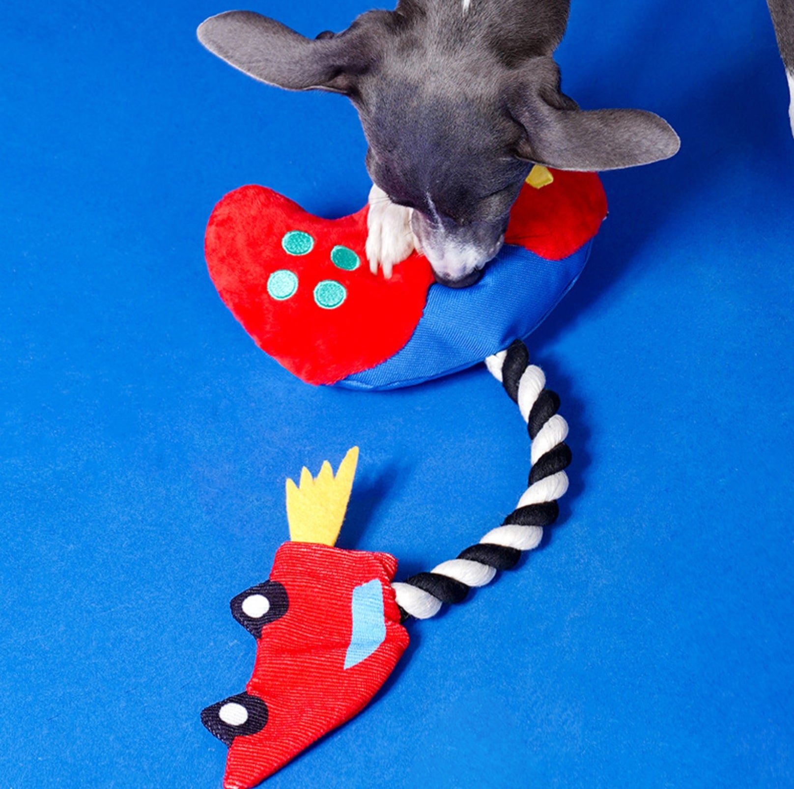ZeZe Game Controller Rope Dog Toy – Tug, Chew & Squeak! - {{product.type}} - PawPawUp