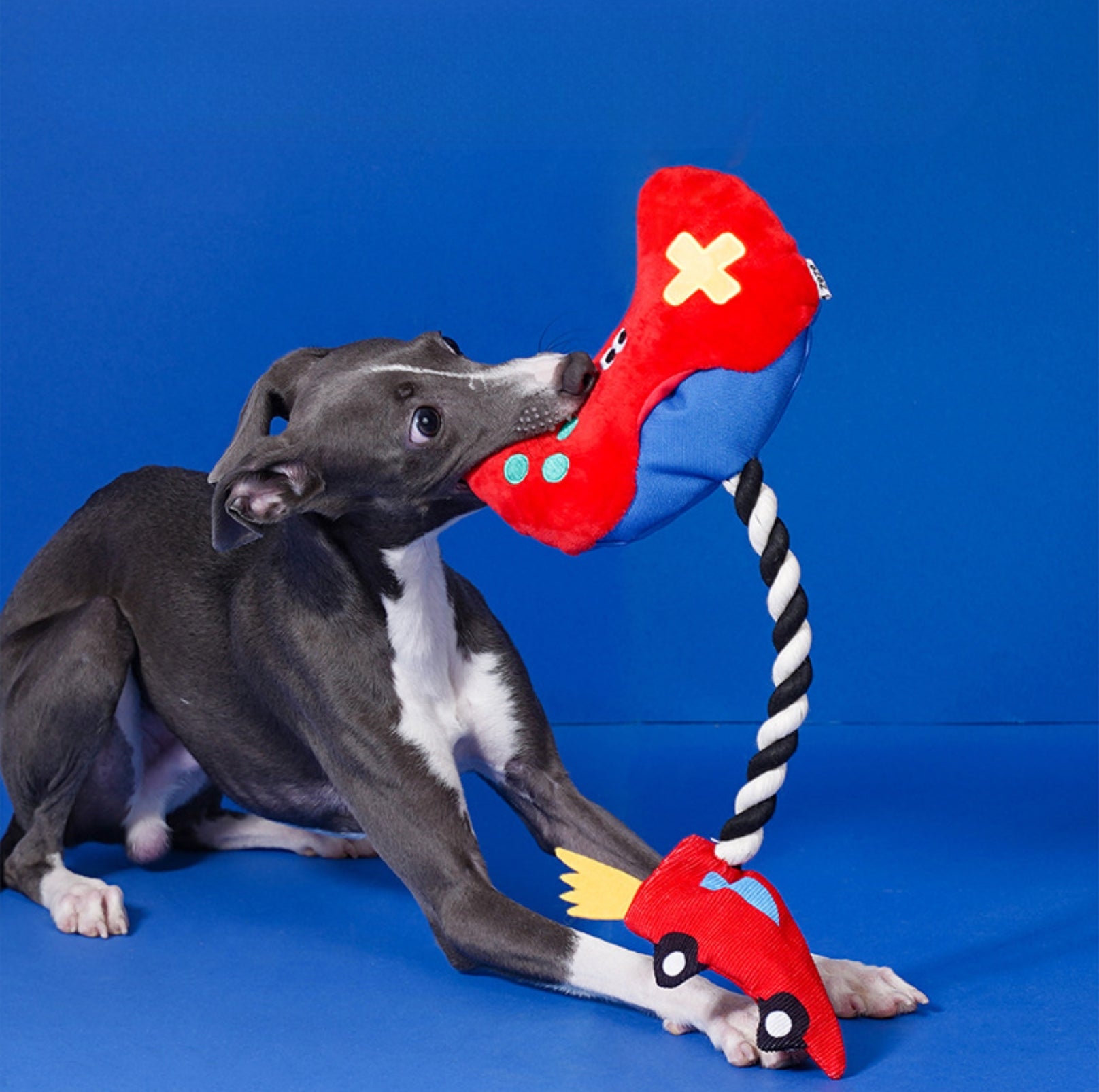 ZeZe Game Controller Rope Dog Toy – Tug, Chew & Squeak! - {{product.type}} - PawPawUp