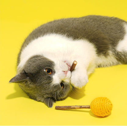 ZeZe Lollipop-Shaped Silvervine Cat Toy - {{product.type}} - PawPawUp