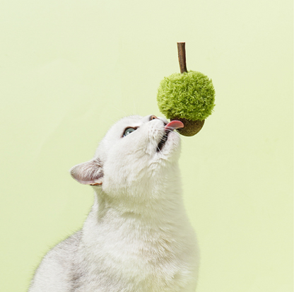 ZeZe Mint-Flavored Acorn Cat Toy - {{product.type}} - PawPawUp