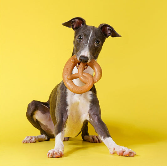 ZeZe Pine Wood Chew Stick – Natural Dental Toy for Dogs - {{product.type}} - PawPawUp