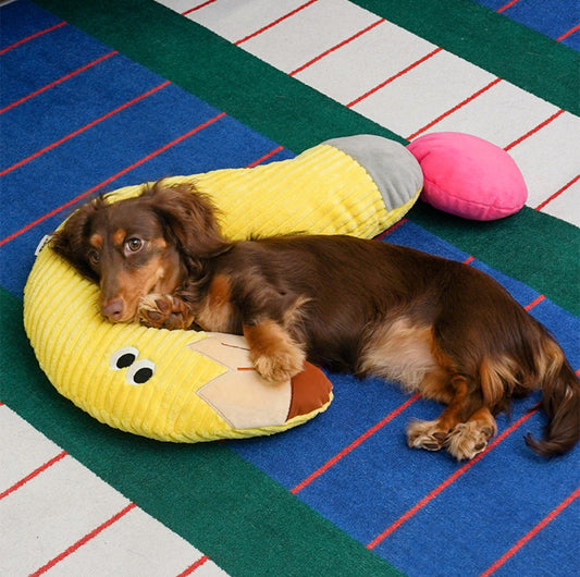 ZeZe "Question Mark" Pet Pillow - {{product.type}} - PawPawUp